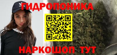 метадон Сланцы