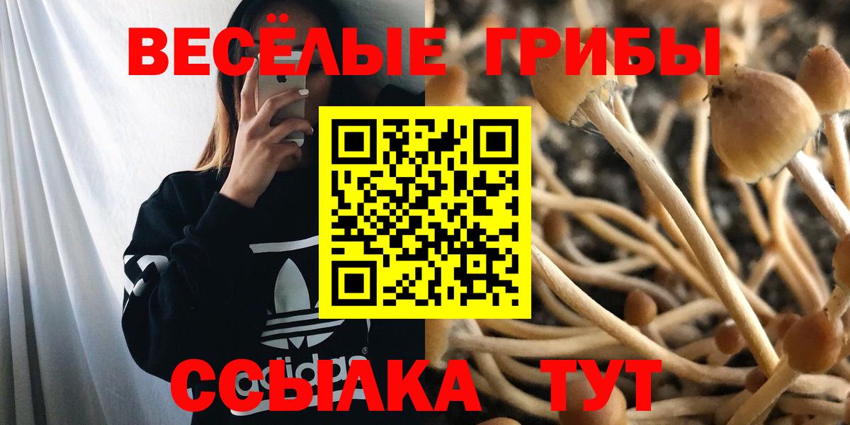 Павловский Посад  Галлюциногенные грибы MAGIC MUSHROOMS  Вход с VPN 